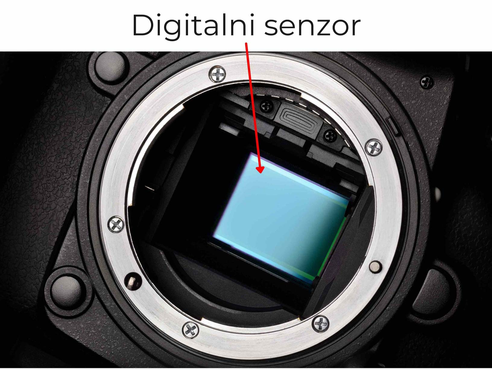 Krupni plan unutrašnjosti fotoaparata prikazuje digitalni senzor. Senzor je svetloplave boje, sa crvenom strelicom koja ga ističe. Okružen je crnim telom fotoaparata i srebrnim prstenom za objektiv sa šrafovima. Na vrhu slike je tekst "Digitalni senzor".